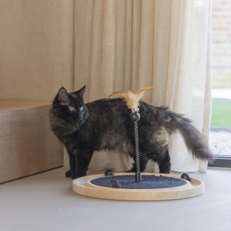 Designed By Lotte Kratzbrett Kratzspielzeug Idah aus Holz schwarz