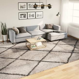 vidaXL Shaggy-Teppich Hochflor Modern Beige Anthrazit 300x400 cm