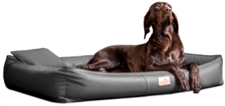 CLIFFORD Orthopädisches Hundebett - 02 Graphit, 100x75cm