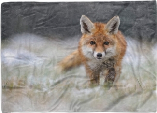 Sinus Art Handtücher Handtuch Strandhandtuch Saunatuch Kuscheldecke mit Tiermotiv kleiner Fuchs, Baumwolle-Polyester-Mix (1-St), Handtuch