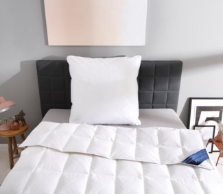 Otto Keller Gänsedaunenbettdecke + Kopfkissen Bella, Bettwaren-Set in 135x200 oder 155x220 cm, Sommer oder Winter, Füllung: Bettdecke: 90% Daunen, 10% Federn, Kopfkissen: 70% Federn, 30% Daunen, Bezug: 100% Baumwolle, Bettdecke 135x200 cm, 155x220 cm. ...