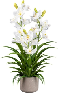 Kunstorchidee Orchidee Cymbidie Orchidee, Creativ green, Höhe 70 cm, mit traumhaft schönen Blüten