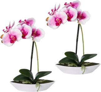 Kunstorchidee Phalaenopsis, Creativ green, Höhe 30 cm, 2er Set, in Kunststoffschale