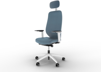 Ergotopia MasterBack Pro L, ergonomisch inkl. Synchronmechanik mit verstellbarer Kopfstütze & 5fach-verstellbare Armlehnen, Blau / Weiß