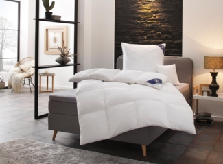 SPESSARTTRAUM Daunenbettdecke Exklusiv, Bettdecken für Sommer und Winter, Decke, Füllung: 100% Daunen, Klasse 1, Downpass zertifiziert, Bezug: 100% Baumwolle, Made in Green, Hausstauballergiker geeignet, 5 Wärmeklassen & 8 Größen, Bestseller