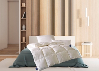 billerbeck Daunenbettdecke Enisa 80, Bettdecke in 135x200, 155x220, 200x200 cm, Füllung: 80% Daunen, 20% Federn, Bezug: 100% Baumwolle, Die winterwarme Daunendecke