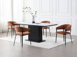Vente-unique - Stuhl mit Armlehnen 2er-Set - Stoff & schwarzes Metall - Terracotta - AVRELA