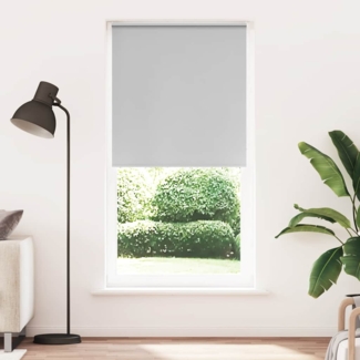 vidaXL Verdunkelungsrollo Hellgrau 95x230 cm Stoffbreite 90,7 cm 4011465