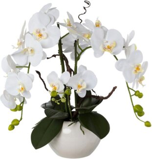 Kunstorchidee Phalaenopsis, Creativ green, Höhe 55 cm, im Keramiktopf