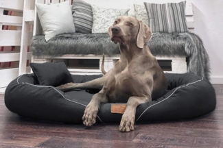 TIFFANY COUTURE Orthopädisches Hundebett - 115x90cm, 40 Anthrazit