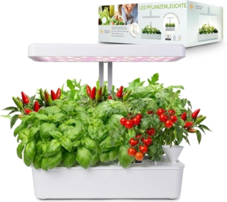 Northpoint Pflanzenlampe LED Pflanzenleuchte Gewächslampe 22W 1350 Lumen 10 Setzlinge