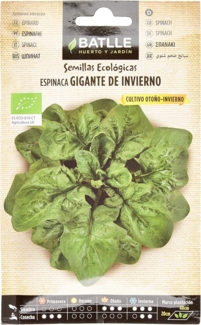 Bio Samen - Winterspinat gross (220 Samen - Bio)