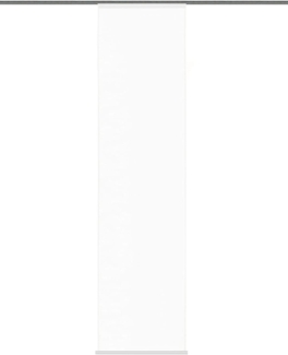 HOME WOHNIDEEN Schiebegardine Oakland, Klettband (1 St), transparent, Organza, HxB: 245x60, inkl. Befestigungszubehör