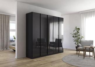 Drehtürenschrank >Modesty< in Glas basalt / grau metallic - 226x210x54 (BxHxT)