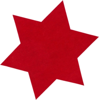 Annastore Platzset 6 x Filzsterne in vielen Größen - Platzdecken - Platzset, Untersetzer, Tischet aus Filz