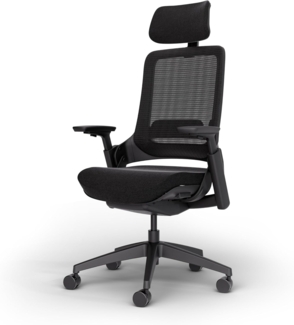 Ergotopia NextBack Pro | Ergonomischer Bürostuhl mit Kopfstütze & 3D+ Armlehnen | Testsieger-Komfort | Für Home Office & gesunden Rücken