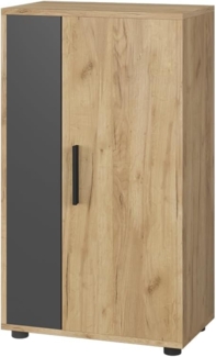 Kommode Berno Goldkraft Eiche/Anthrazit 50.1 x 87.3 cm mit 2 Fächern Vicco