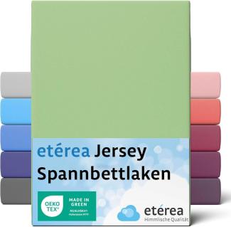 etérea Comfort Jersey Spannbettlaken Minze 180x200 cm - 200x200 cm