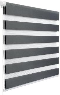 WOLTU Doppelrollo Klemmfix ohne Bohren Dunkelgrau 65x130cm (BxH), Duo Rollo Zebrarollo Fensterrollo Klemmrollo Seitenzugrollo Easyfix lichtdurchlässig & verdunkelnd Rollos für Fenster und Tür