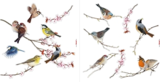 Komar Windowsticker Birds 31x31 cm