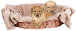 Bestlivings Tierdecke Hundedecke / Katzendecke, Kuscheldecke für Haustiere, Schlafplatz/-decke, versch. Variationen