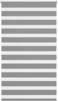 Doppelrollo Seitenzug Duo Rollo 80 x 175 cm grau 240203