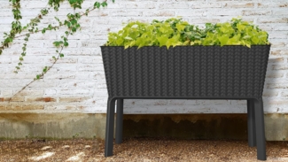 Keter - Blumenkasten Splendor Graphit 114 x 49,3 x 75,7 cm