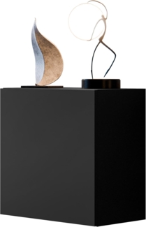 Vitrine Quadrat Cholon (Farbe: Schwarz)