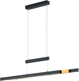 lightling LED Pendelleuchte Tina, LED fest integriert, Tageslichtweiß, 4 fach Touch, Lichtfarbe einstellbar, flexibel verstellbar