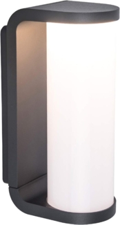 LED Außenwandleuchte ADALYN Schwarz, Glas-Zylinder IP44, 7x20cm