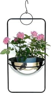 DanDiBo Blumenampel Innen Metall Wand Hängepflanzen 67 cm 96083 L mit Topf Silber Pflanzenhänger Blumenhänger Topfhänger Blumen Blumentopfhänger Hängetopf