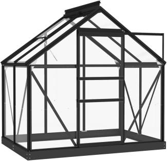 Glas Gewächshaus Anthrazit 155 x 103 x 191 cm Aluminium