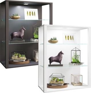 VCM Hängevitrine olz Glas Stand Vitrine Sammelvitrine Glasol LW (1-St)