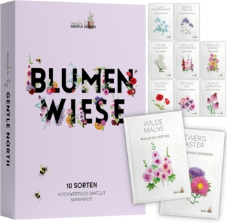 Blumen Samen Set - 10 bunte Blumensamen Sorten für den Garten oder Balkon, die Bienenweide und Wildblumenwiese - Blumenwiese Samen - bunte Wildblumensamen Mischung