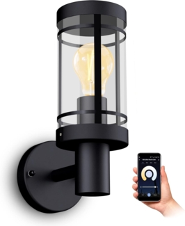 SSC-LUXon LED Außen-Wandleuchte MIENTO Wandlaterne fuer Aussen IP44 mit Smart E27 Filament Birne Alexa, Warmweiß bis Tageslicht