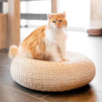 Canadian Cat Company Tierbett Katzenbett Manitoba, Katzen Schlafplatz, Katzenkorb, natur, ca. Ø 60x18 cm