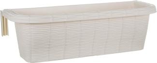 Bama 30312 Blumenkasten Schwalbennest Stroh, Creme, 60 x 20 x 18. 5 cm