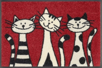 wash+dry by Kleen-Tex Fußmatte Three Cats, rechteckig, Höhe: 9 mm, Schmutzfangmatte, Motiv Katzen, rutschhemmend, waschbar
