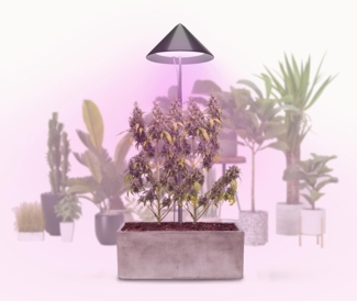 PARUS Pflanzenlampe CANNA, Leuchtmittel für Pflanzen, Teleskopstab 1,7m, Parus by Venso SUNLiTE XL LED Vollspektrum Pflanzenlampe Grau 25W Indo