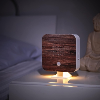 Northpoint LED Dekolicht Naturgeräuschebox Vogelzwitscher Bewegungsmelder Licht Aufladbar