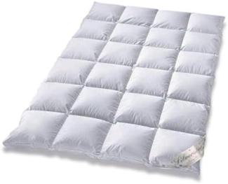 Typ Eiderdaune Silverstar warme Winterdecke 90/10 Daune Aussensteg 240x220 cm