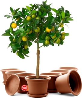 BigDean 8 Stück Blumentopf mit Untersetzer rund ø 35 cm Terrakotta – wetterfester Pflanzkübel Made in Europe