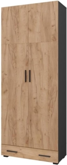 Vicco Mehrzweckschrank Anthrazit/Goldkraft Eiche 80x201.2 cm mit Schubladenmodul, Frank