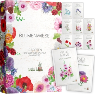 Blumen Samen Set - 10 bunte Blumensamen Sorten für den Garten oder Balkon, die Bienenweide und Wildblumenwiese - Blumenwiese Samen - bunte Wildblumensamen Mischung