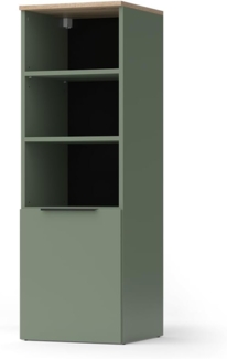 Universalschrank Wido Grün 40.2 x 120 cm mit einer Tür Vicco