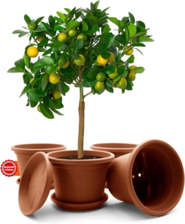 BigDean 4 Stück Blumentopf mit Untersetzer rund ø 35 cm Terracotta – wetterfester Pflanzkübel Made in Europe