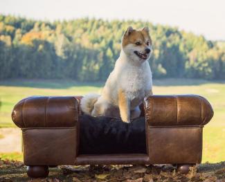 Casa Padrino Luxus Leder Hundebett Dunkelbraun / Schwarz 109 x 89 x H. 37 cm - Rechteckiges Echtleder Hundebett - Luxus Echtleder Tiermöbel