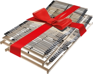 Lattenrost Flex 42 Motor, Kopfteil und Fußteil elektrisch verstellbar Größe 200 x 200 cm