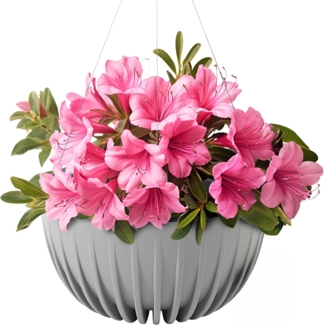 KONZEPT Blumenampel hängend außen und innen, Blumentopf 30cm, Hängetopf für Pflanzen