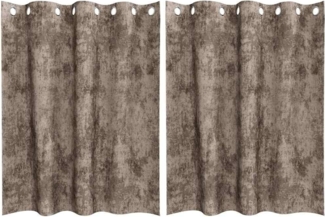 vidaXL Vorhang mit Vorhängen 2 pcs Cappuccino 140 x 140 cm Samt 4107668
